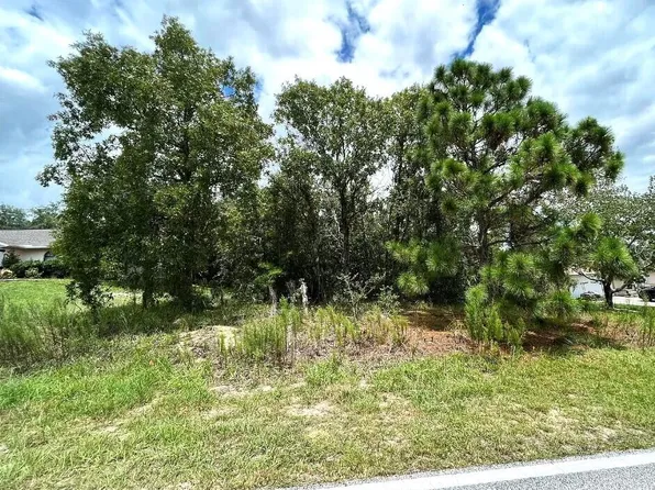 1455 E Hartford Street, Inverness, FL 34453