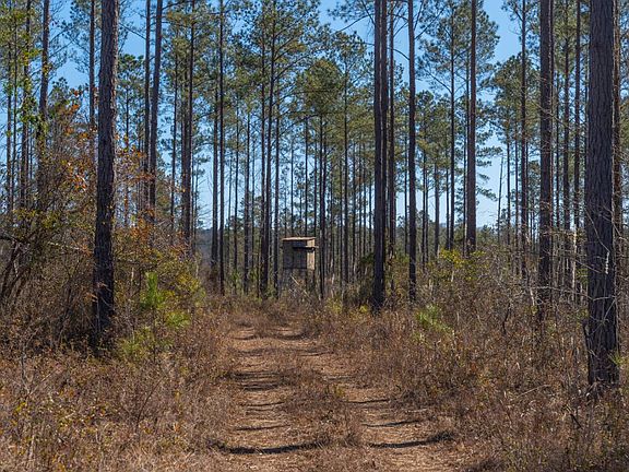 3rd image of 0 Bill Merritt Rd