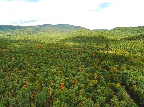 88 Nye Valley Rd, Bastian, VA 24314