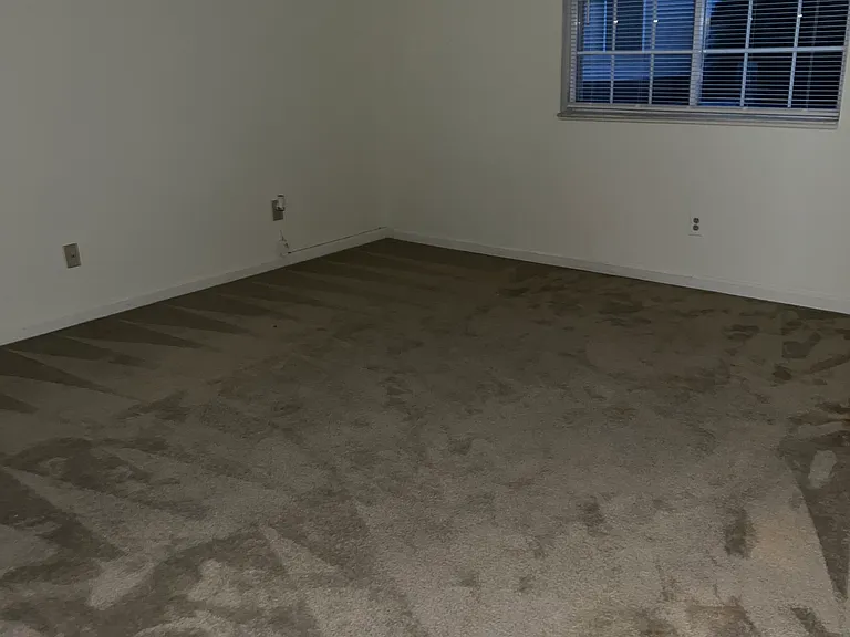 4617 Falcon Run Way — Photo 11
