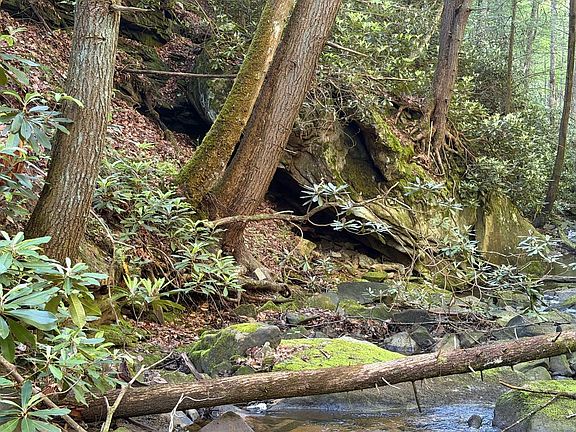 3rd image of White Oak Creek Rd