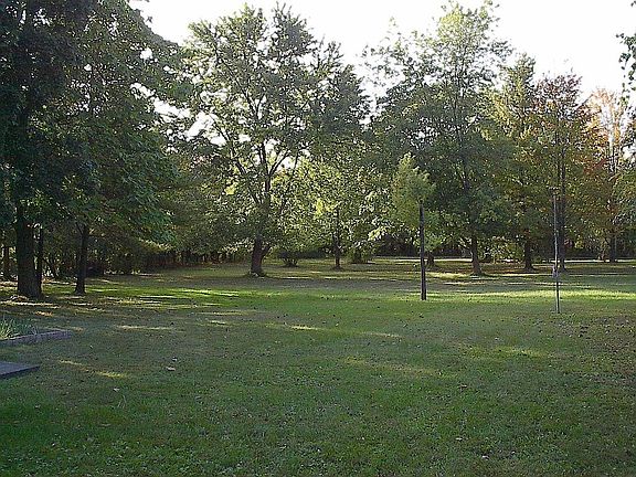 Glorious backyard