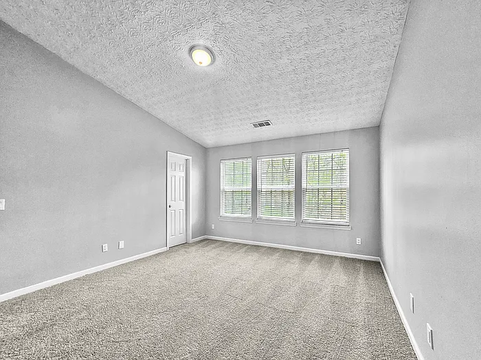 1236 Liriope Ln — Photo 11