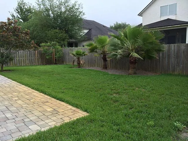 Trees have grown giving more privacy