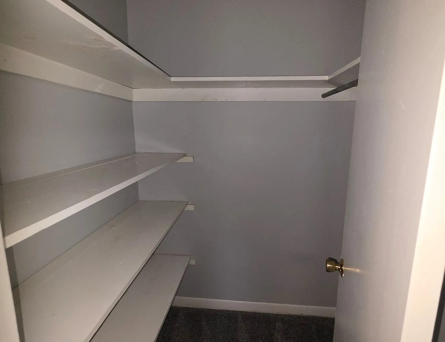 4 bed, 1600 sqft, $1,475 — Photo 4