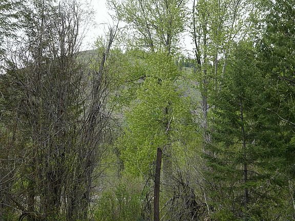 5th image of 212 D West Buttermilk Creek Road