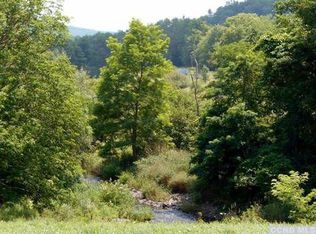 86 Bruce Porn Rd, Roxbury, NY 12474