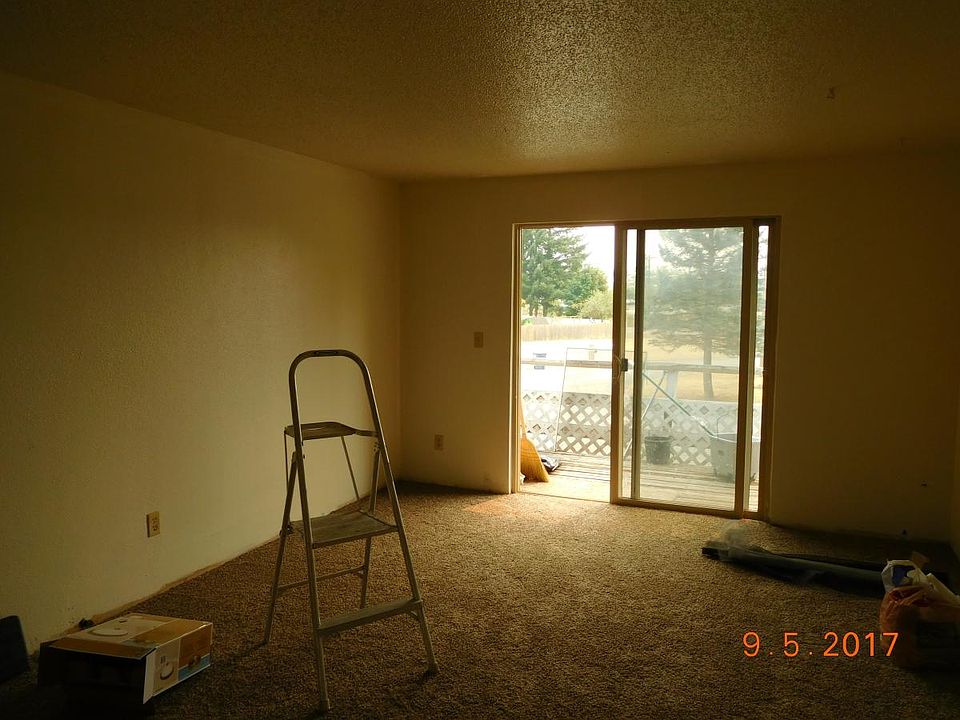 Living room view with new carpet