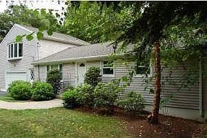 Huge evergreens provide privacy