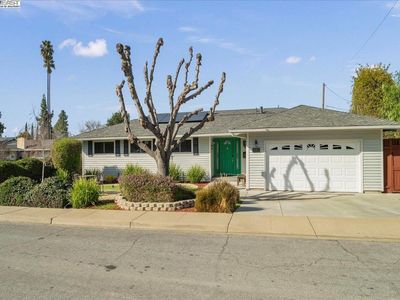 1649 Pajaro Ct, Fremont, CA, 94539