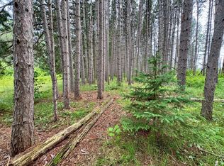 20th Street Southwest SW #20, Pine River, MN 56474