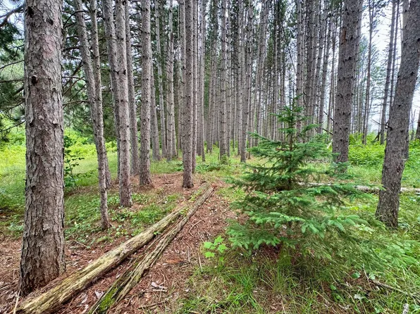 20th Street Southwest SW #20, Pine River, MN 56474