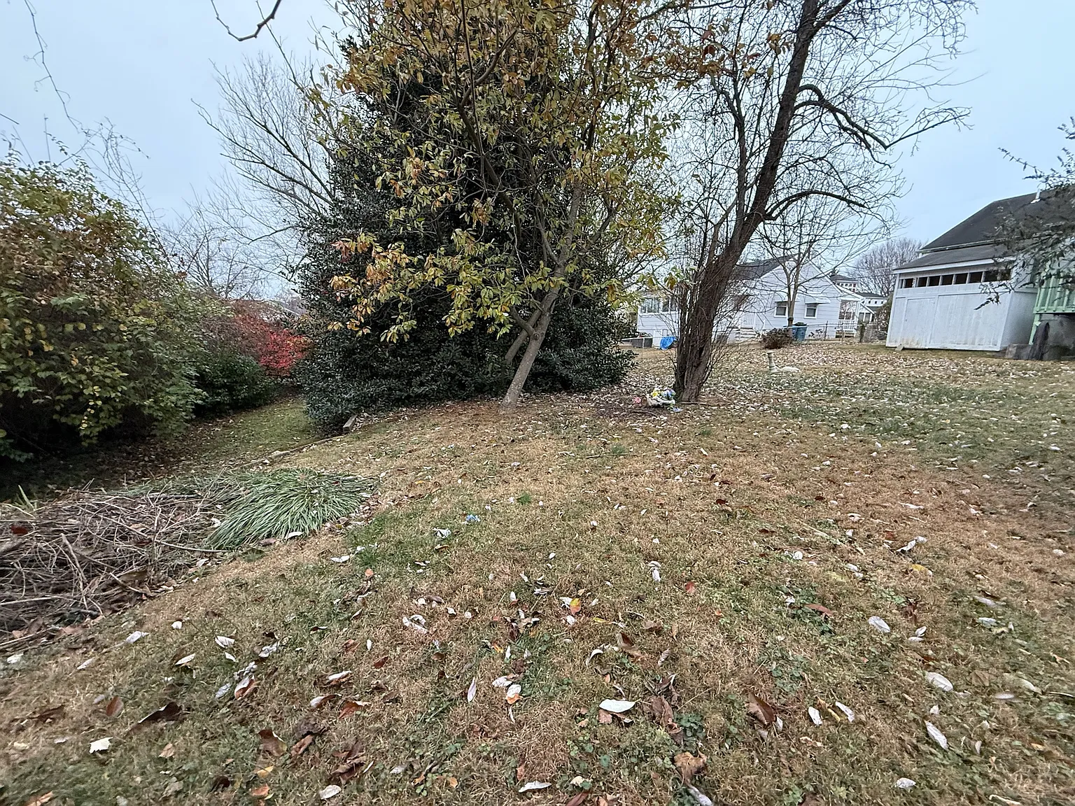 3 bed, 884 sqft, $2,400 — Photo 4