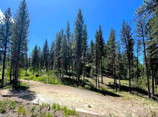 L16-B1 Shaw Gulch Rd, Idaho City, ID 83631