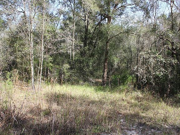 2nd image of 34273 BELT DRIVE LOT 18