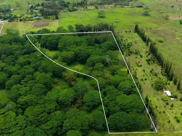 Enos Rd Lot 42, Mountain View, HI 96771