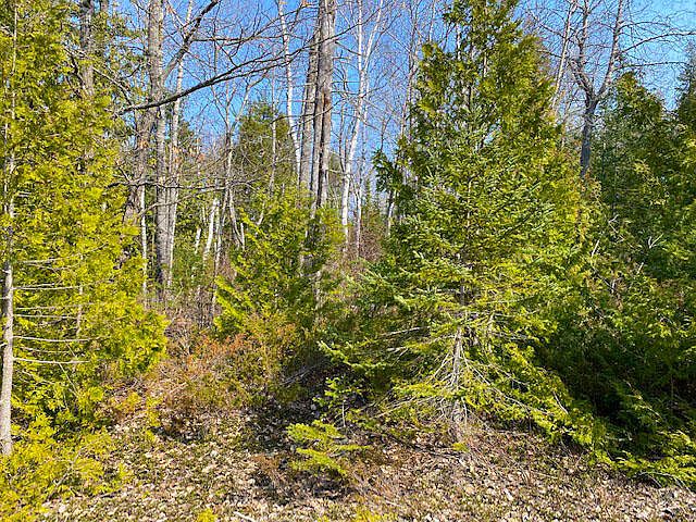 1st image of LOT 4 Harbor View Dr