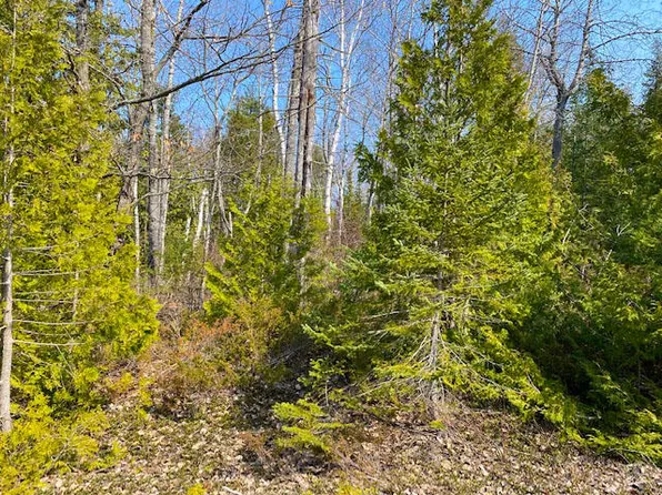LOT 4 Harbor View Dr, Presque Isle, MI 49777