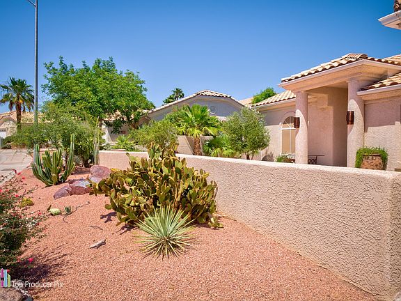 Flowering Desert Cactus