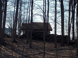 11570 S Clark Rd, Bellevue, MI 49021