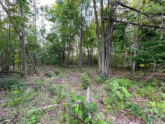 3rd image of 6170 Lambert Dr