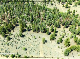 1036 Pulver Road, Lake George, CO 80827