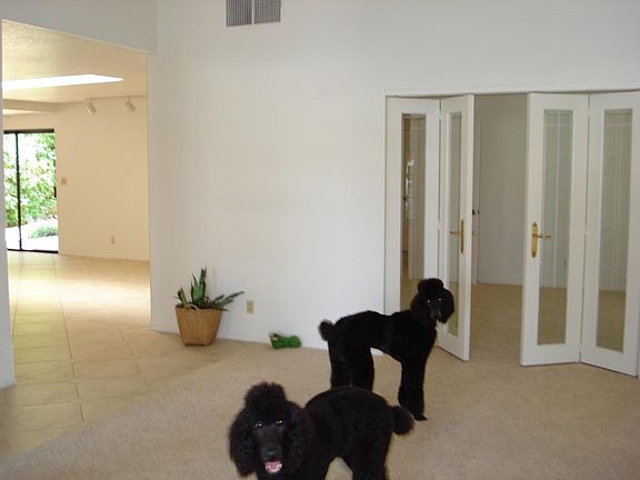 Living room into family room/kitchen/ glass doors into offic