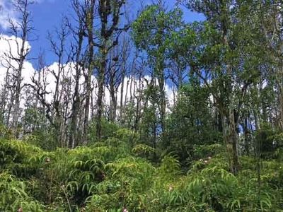 Nohea St Lot 6, Pahoa, HI, 96778