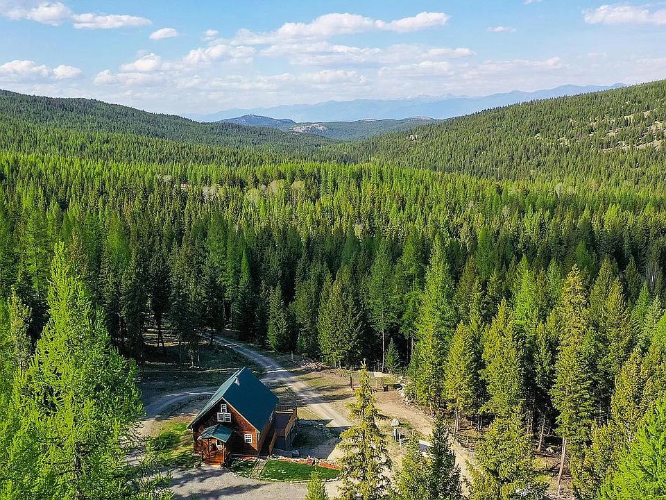 Private 20 acre forest