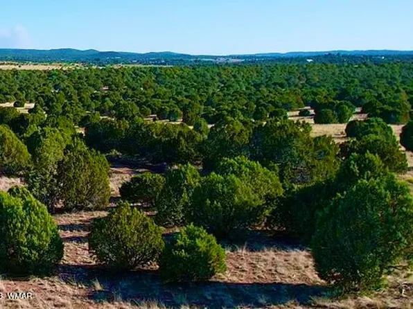 Birdwing Ln Lot A, Clay Springs, AZ 85923