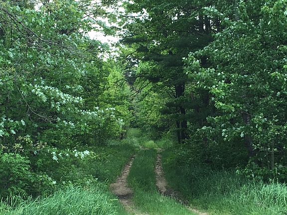 TRAIL SYSTEM