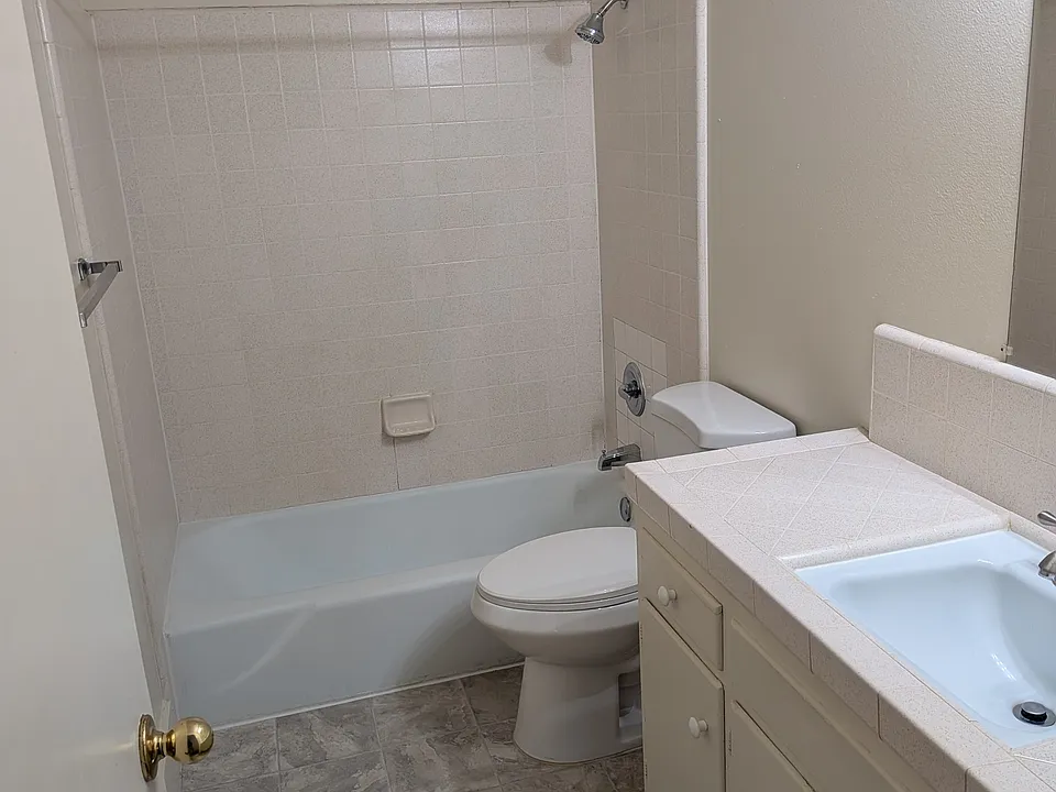 Tub shower