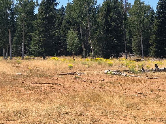 4th image of N Fork Rd S