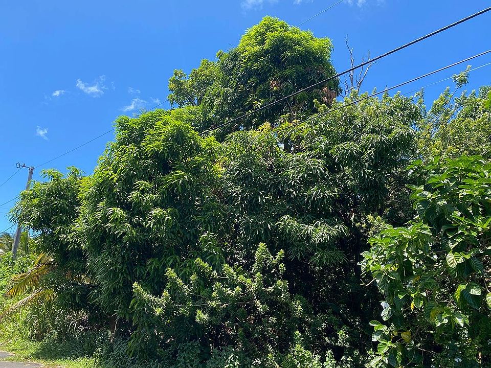 2nd image of 12-7010 Kekaikolo St Lot 208