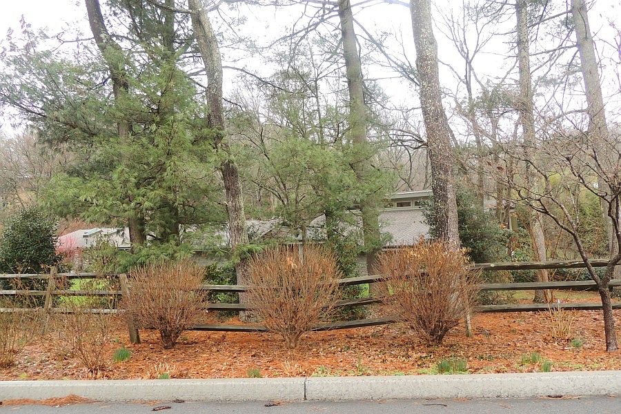 1st image of 520 Vance Dr