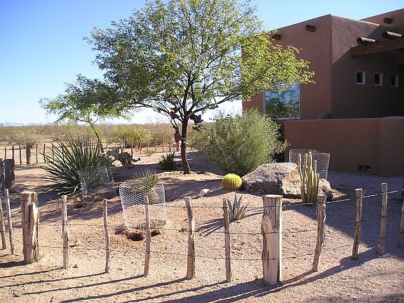 DESERT LANDSCAPING