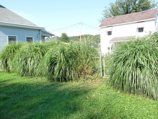 2nd image of 1808 Timmonds Ave