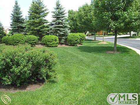 TREMONTE SIDE YARD.jpg