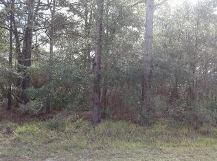 14322 Canyon Swallow Rd, Weeki Wachee, FL 34614