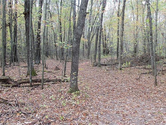 3rd image of 24951 WALBERG RD