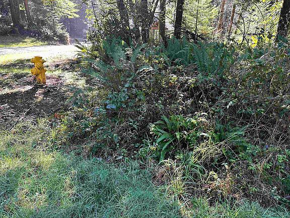 4th image of 38-38 Bell Hole Loop