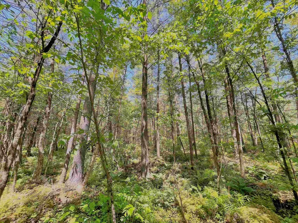 Mountain Shadow Ln, Wautoma, WI 54982