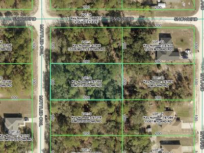 15316 MOTTLED OWL ROAD LOT 2, Brooksville, FL, 34614