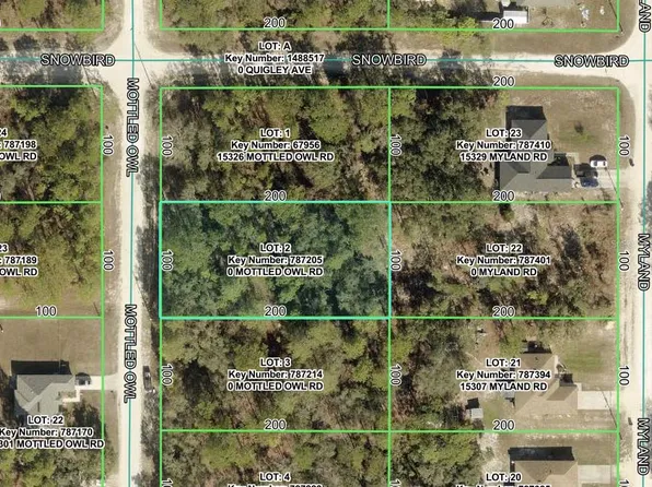 15316 MOTTLED OWL ROAD LOT 2, BROOKSVILLE, FL 34614