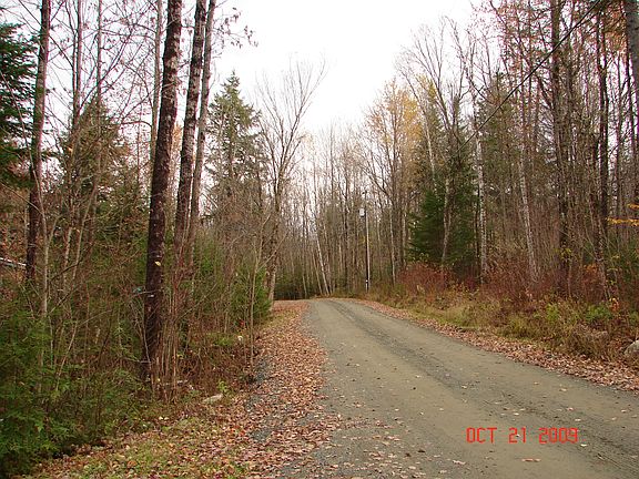 looks "E" @ front, Road "In"