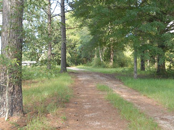 3rd image of 141 Hutcherson Hutto Dr