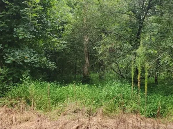 4364 Griffin Ln, Suffolk, VA 23435