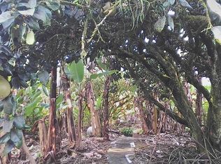 Kukui Pl LOT 32, Mountain View, HI 96771