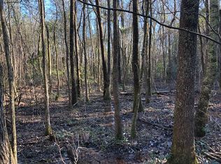 Buffalo Rd, Box springs, GA 31801