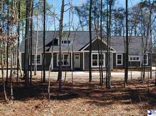 4710 Stagecoach Rd, Effingham, SC 29541